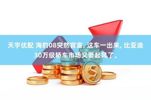 天宇优配 海豹08突然官宣, 这车一出来, 比亚迪30万级轿车市场又要起风了。