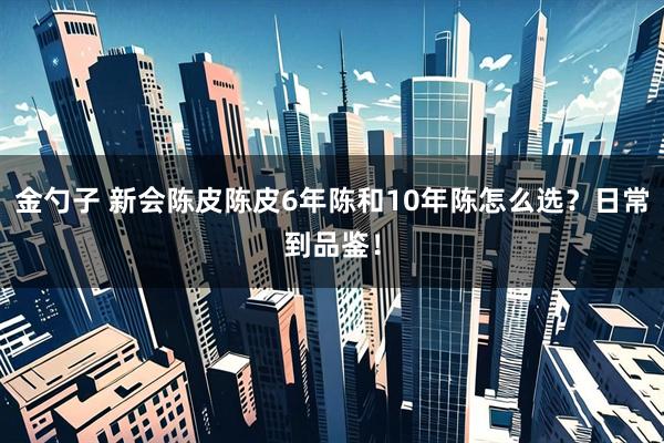 金勺子 新会陈皮陈皮6年陈和10年陈怎么选？日常到品鉴！